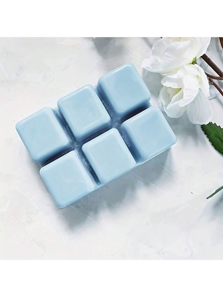 12/24 قطعة صينية قالب بلاستيكي - مراجعة Soap Making Websites وسعره