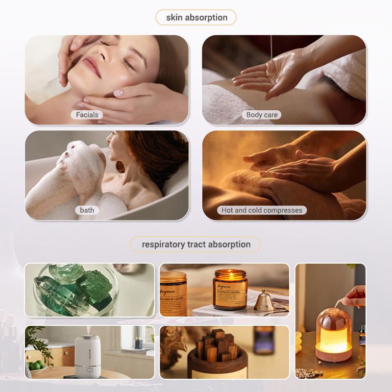 10 مللي زيوت العطر هدية صندوق  - مراجعة Soap Making Books وسعره